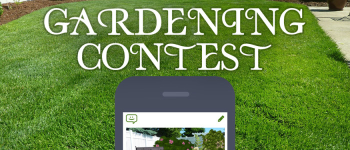 Gardening_Contest_ComicReply