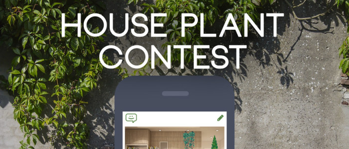 House-Plant_Contest-ComicReply