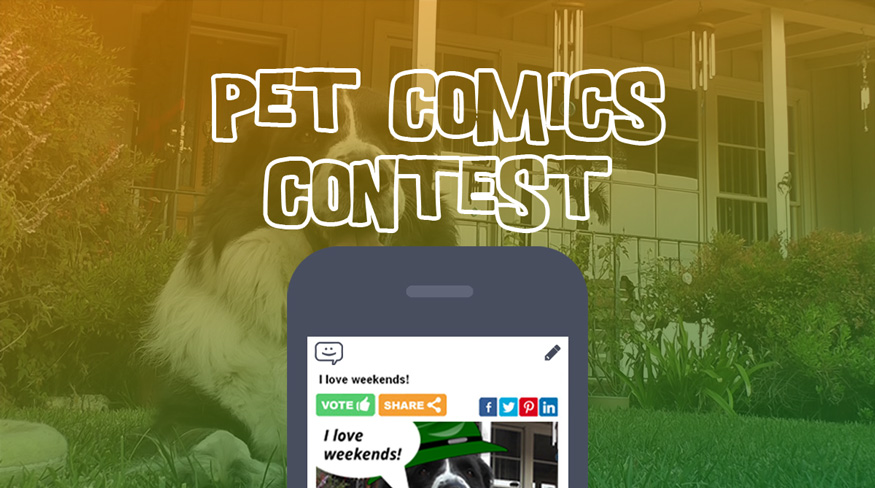 Pet_Comics_Contest_ComicReply_
